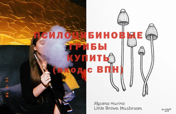 амфетамин Аркадак