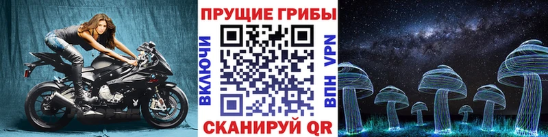 KRAKEN зеркало  Ахтубинск  Галлюциногенные грибы GOLDEN TEACHER 