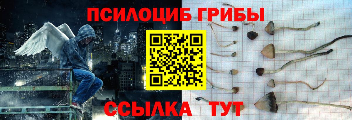 Галлюциногенные грибы мицелий Ахтубинск
