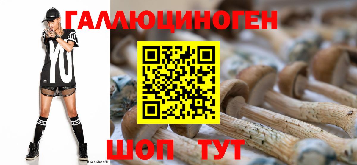 хочу наркоту  Галлюциногенные грибы Psilocybe  Вход с VPN  Ахтубинск 